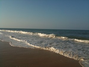 june_2010_and_before_clc 014